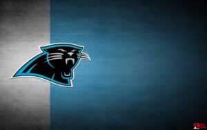 Carolina Panthers Wallpaper