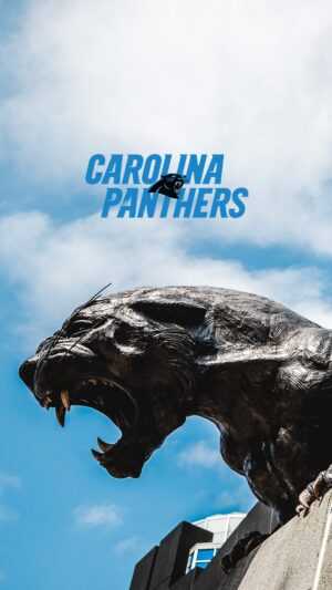 Carolina Panthers Wallpaper