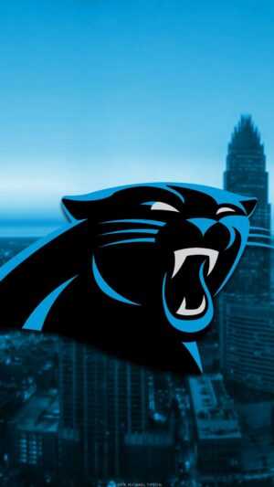 Carolina Panthers Wallpaper