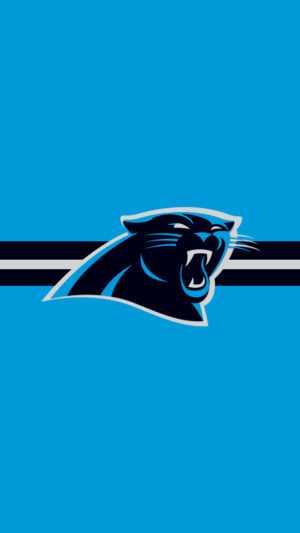 Carolina Panthers Wallpaper iPhone