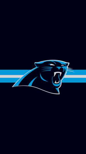 Carolina Panthers Wallpapers