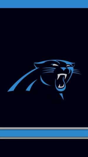 Carolina Panthers Wallpapers