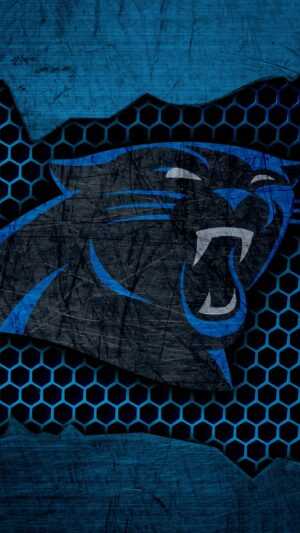Carolina Panthers Wallpapers