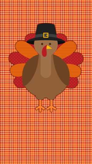 Cute Turkey Wallpaper