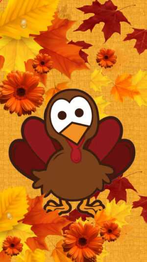 Cute Turkey Wallpaper