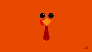 Cute Turkey Wallpaper