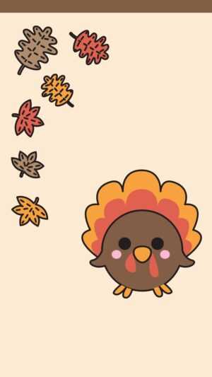 Cute Turkey Wallpapers