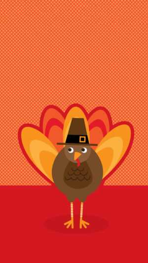 Cute Turkey Wallpapers