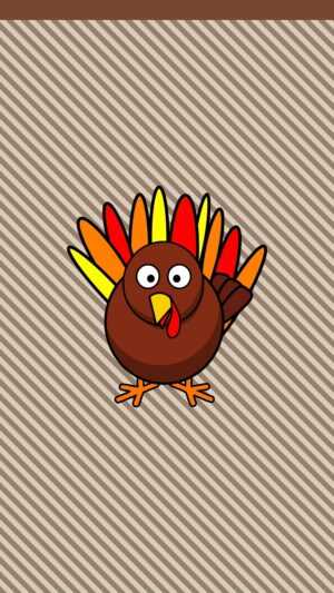 Cute Turkey Wallpapers