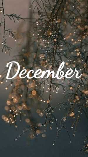 Hello December Wallpaper