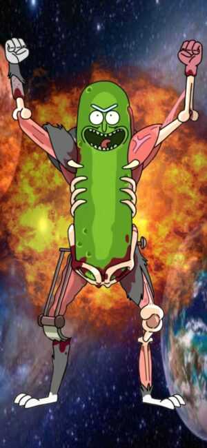 Pickle Rick Wallpaper Phone