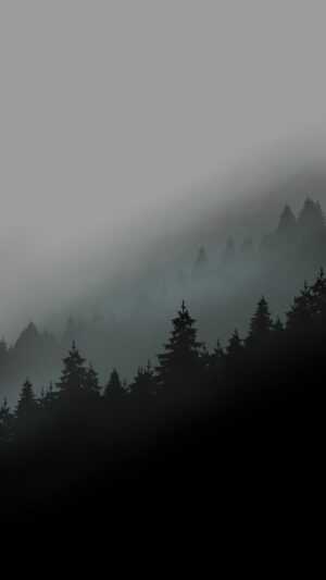 Wallpaper Foggy Forest
