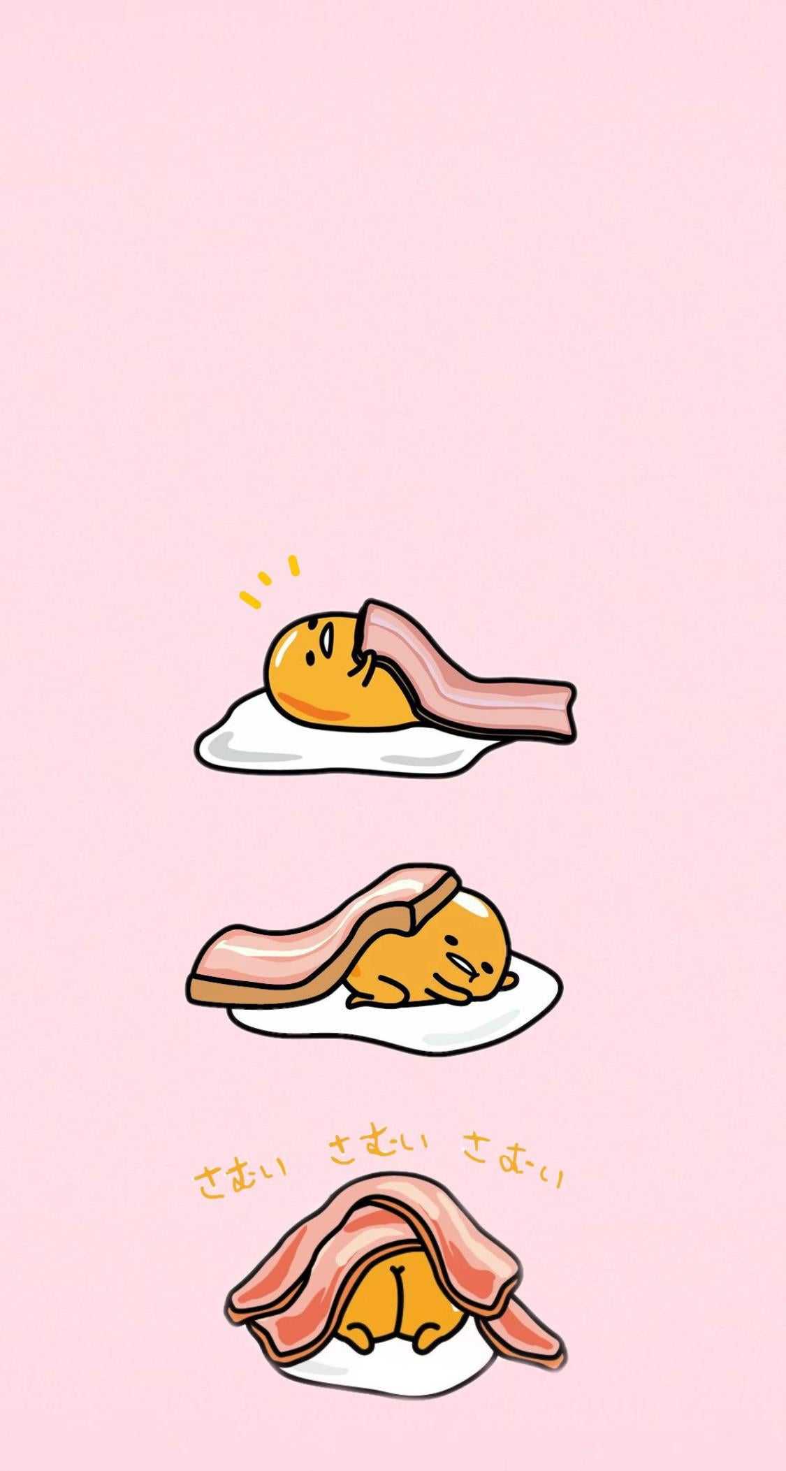 IPhone Gudetama Wallpaper - iXpap