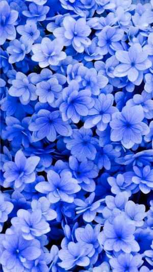 Blue Floral Wallpaper