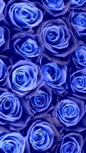 Blue Flower Wallpaper