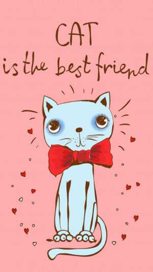 Cat Best Friend Wallpaper