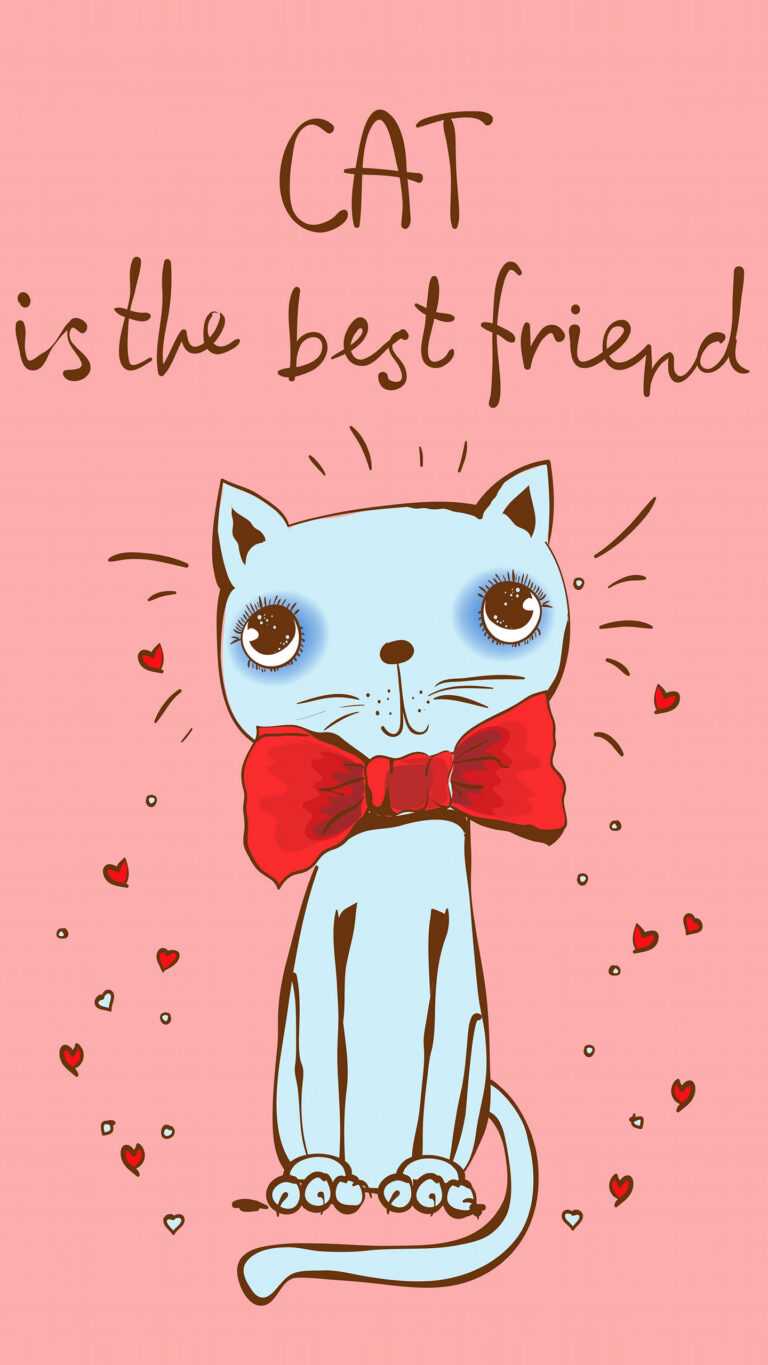 Cat Best Friend Wallpaper iXpap