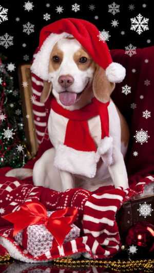 Christmas Dog Wallpaper