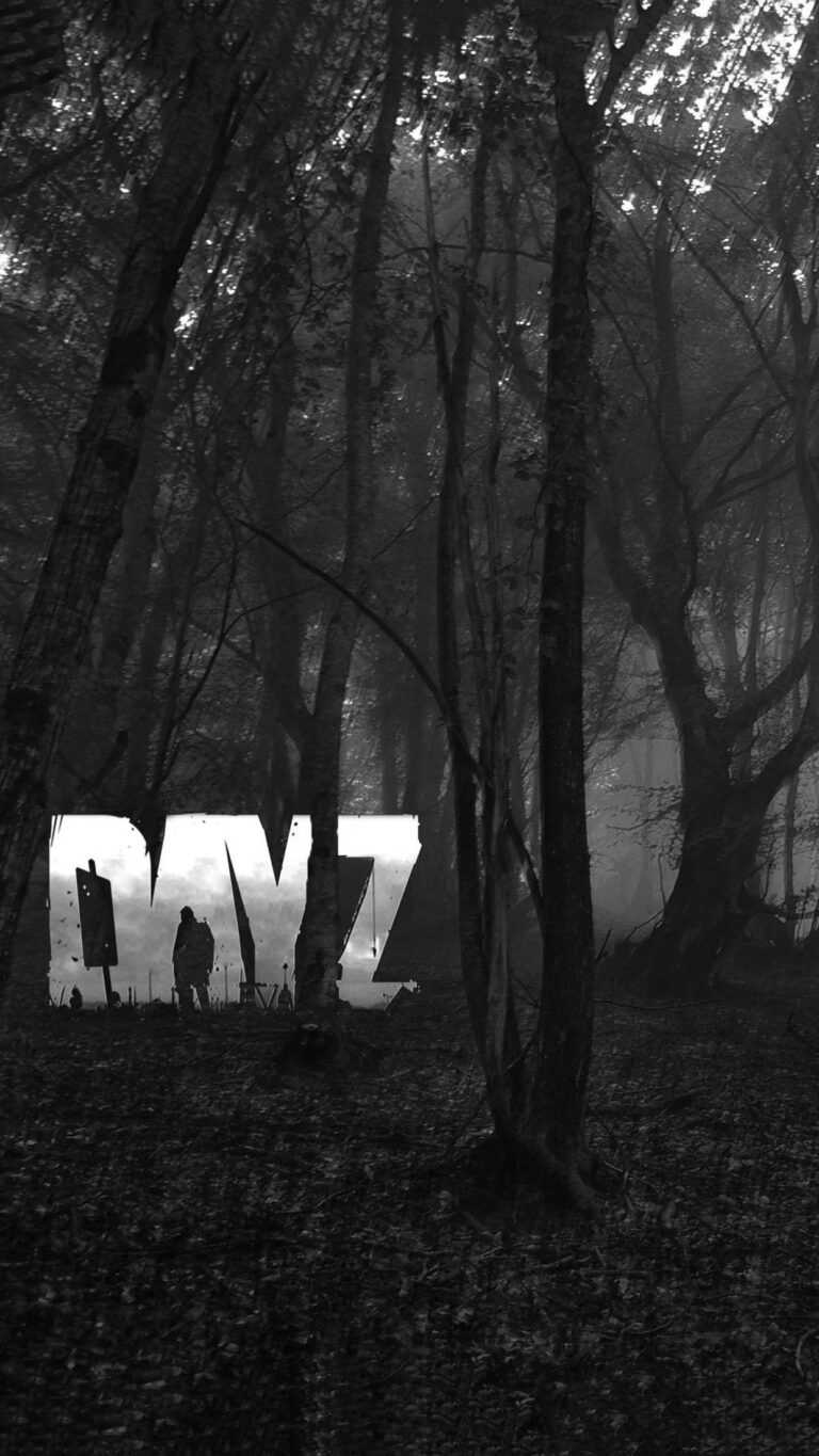DayZ Background iXpap