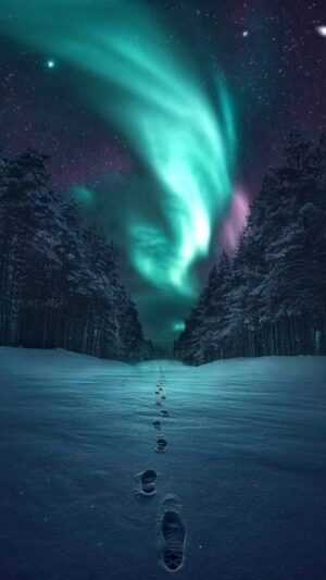 Northern Lights Wallpaper