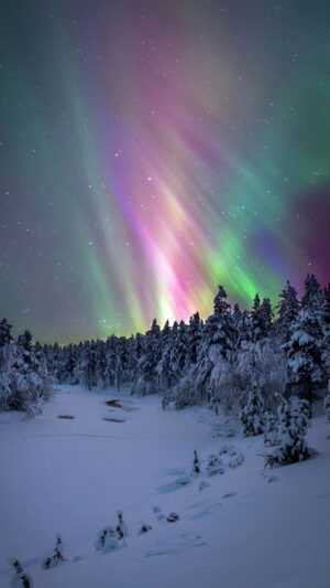 Northern Lights Winter Wallpaper