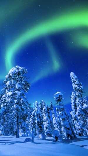 Northern Lights Winter Wallpaper