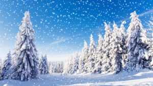 Snow Wallpaper HD