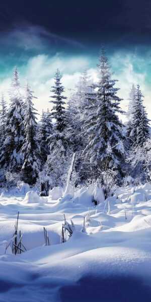 Snow Wallpaper iPhone