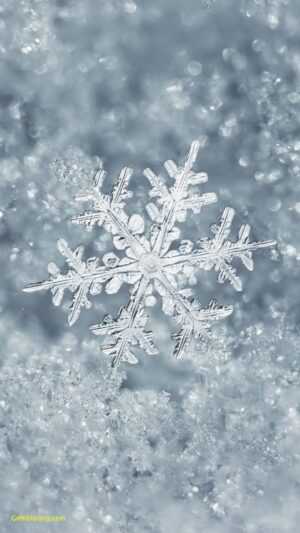 Snowflake Wallpaper