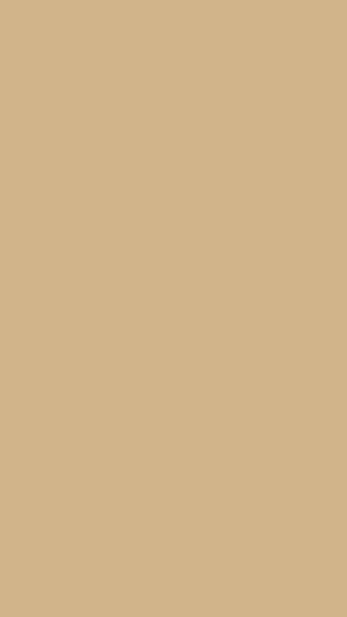 Tan Color Wallpaper - iXpap