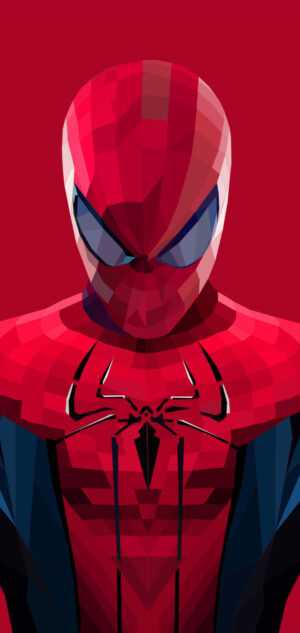 The Amazing Spider Man Wallpaper