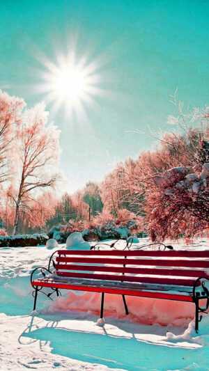 Winter Scenes Background