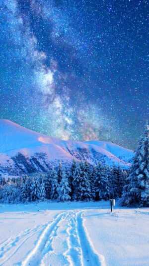 Winter Scenes Wallpaper iPhone