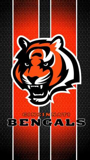 Bengals Wallpaper