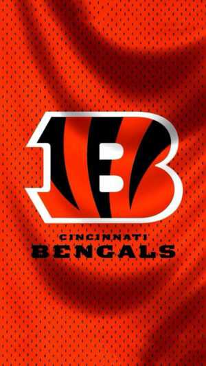 Bengals Wallpaper