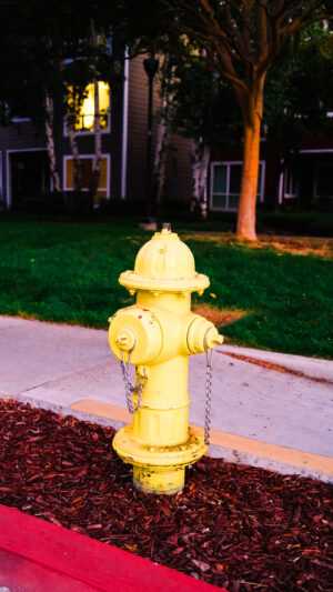 Fire Hydrant Wallpaper