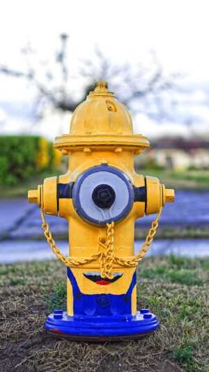 Fire Hydrant Wallpaper