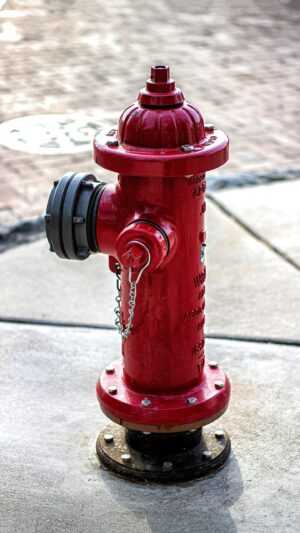 Fire Hydrant Wallpaper