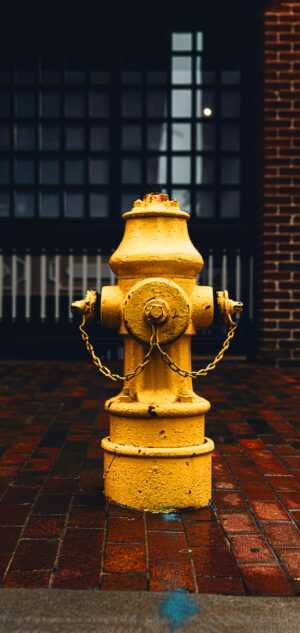 Fire Hydrant Wallpaper