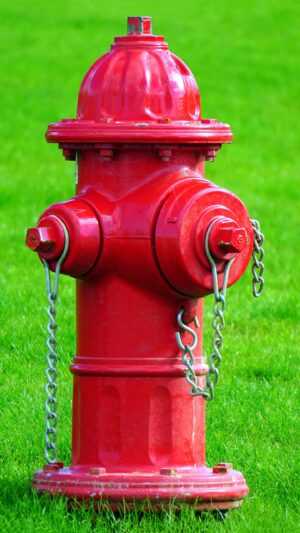 Fire Hydrant Wallpaper