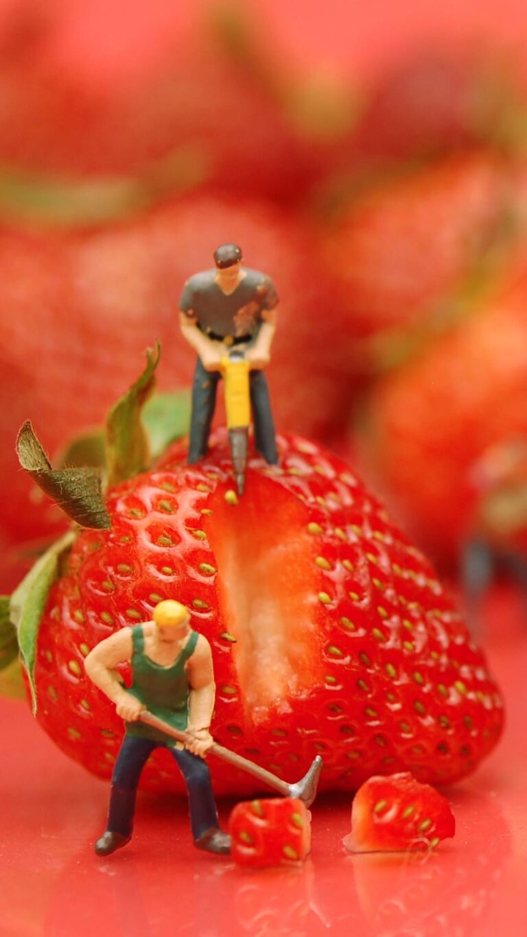 Funny Fruit Wallpaper - iXpap