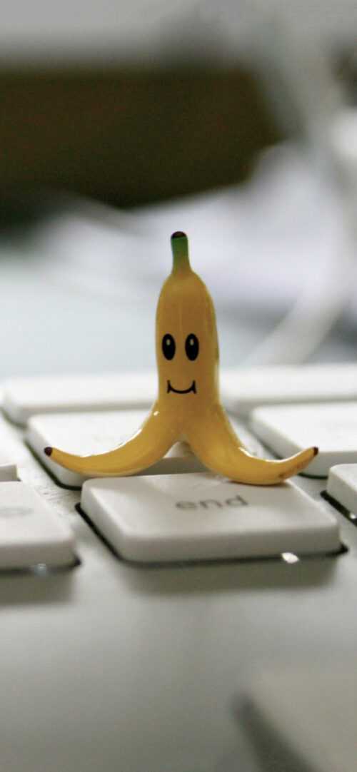 Funny Fruit Wallpaper iXpap