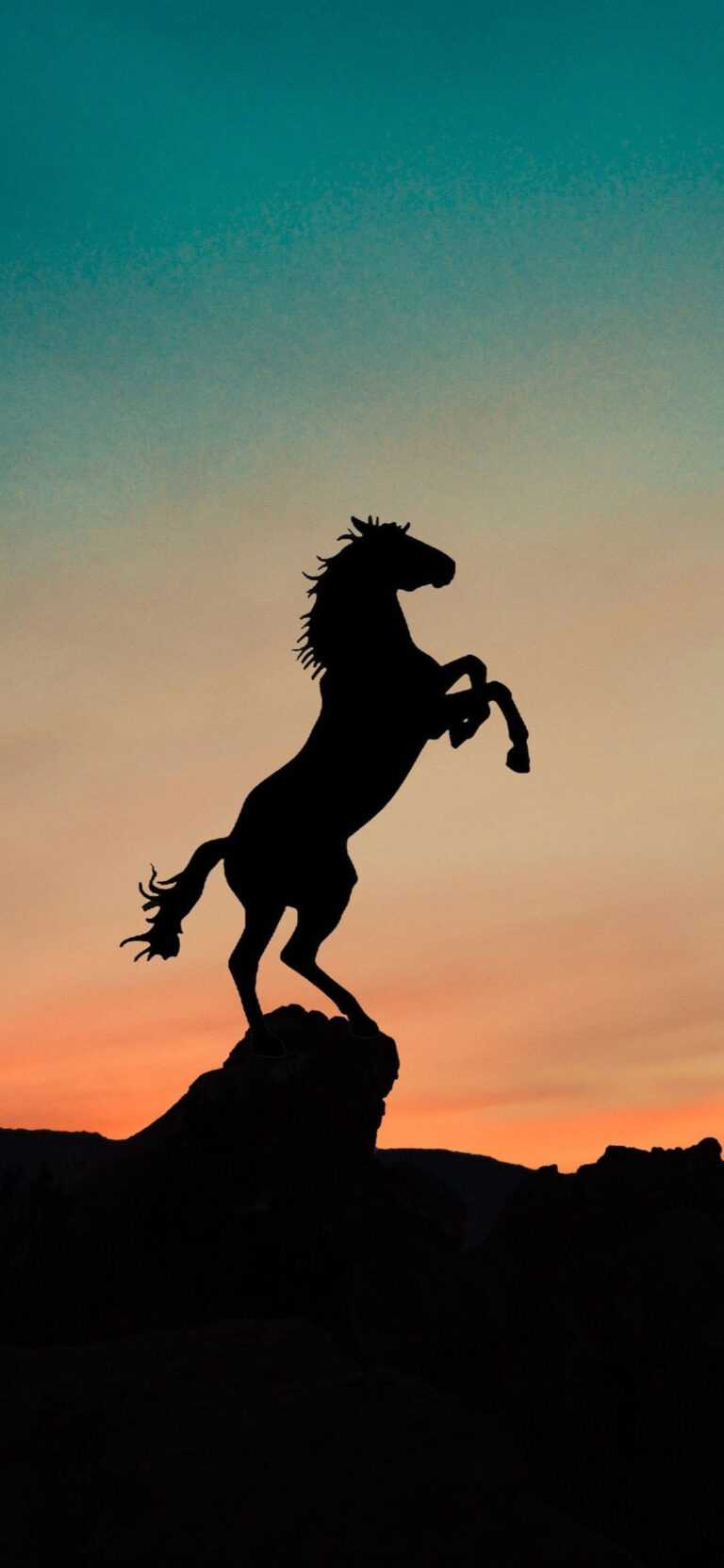 Horse Wallpaper iXpap