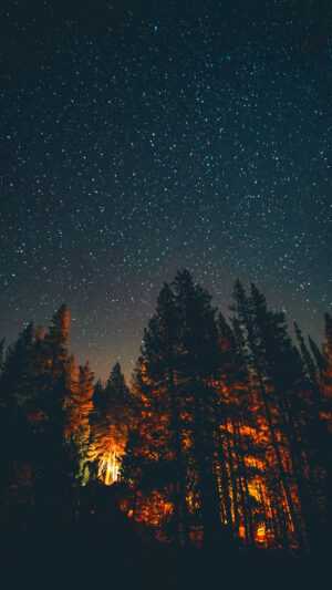 Night Sky Wallpaper