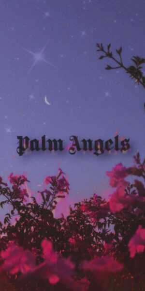 Palm Angels Wallpaper - iXpap