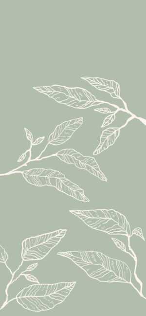 Sage Green Wallpaper