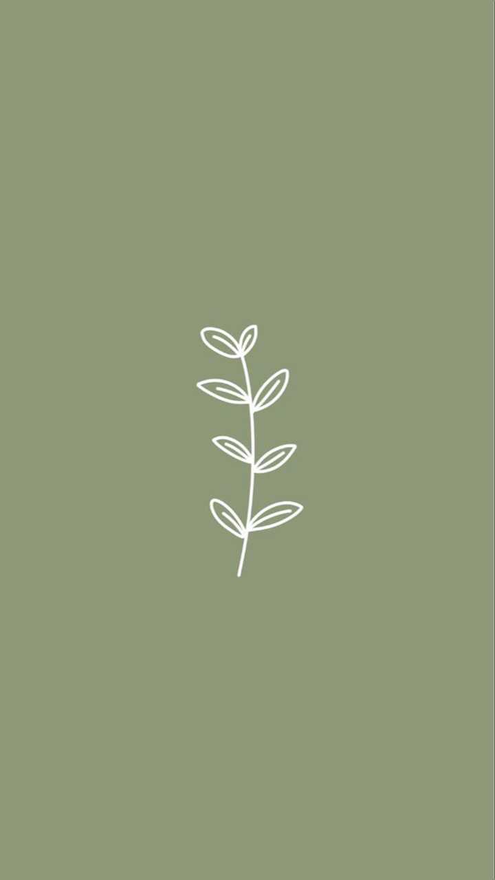 Sage Green Wallpaper - iXpap