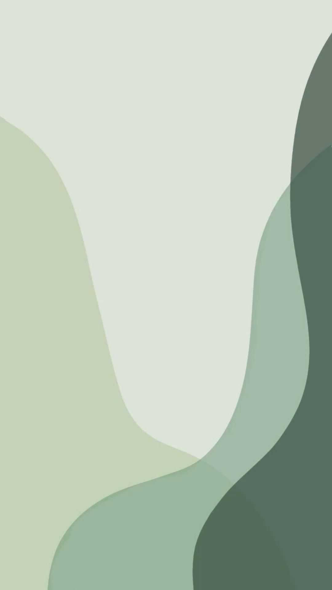 Sage Green Wallpaper - Wallpaper Sun | Mint green wallpaper iphone, Mint green  wallpaper, Sage green wallpaper