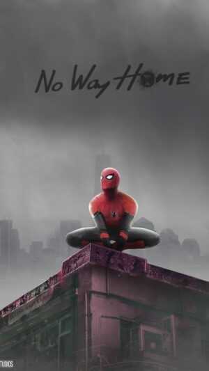 Wallpaper Spider Man No Way Home