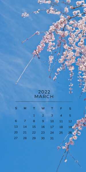 2022 March Calendar Wallpaper